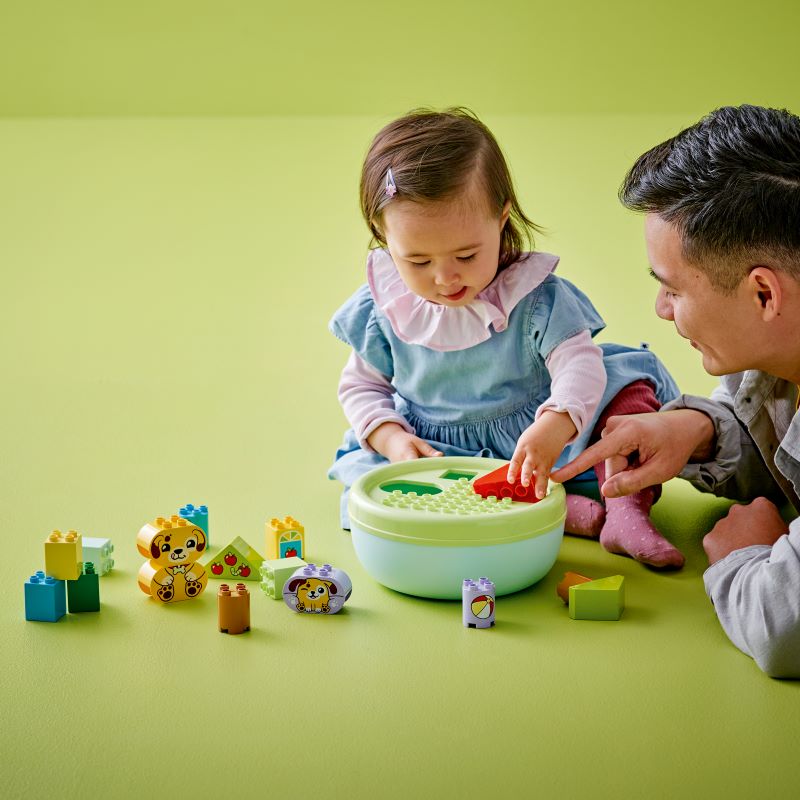 LEGO Organizador de Formas: Casa de Cachorrinho (10441)