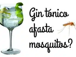 gin afasta os mosquitos