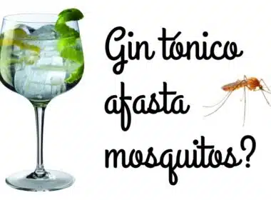 gin afasta os mosquitos