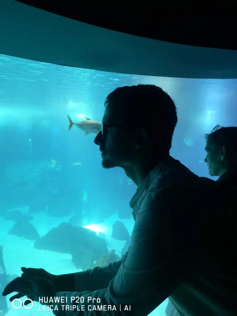 Huawei P20 Pro no Oceanário de Lisboa