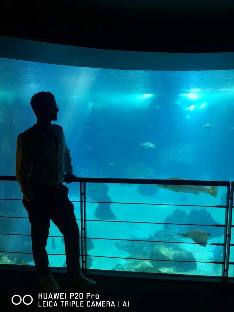 Huawei P20 Pro no Oceanário de Lisboa