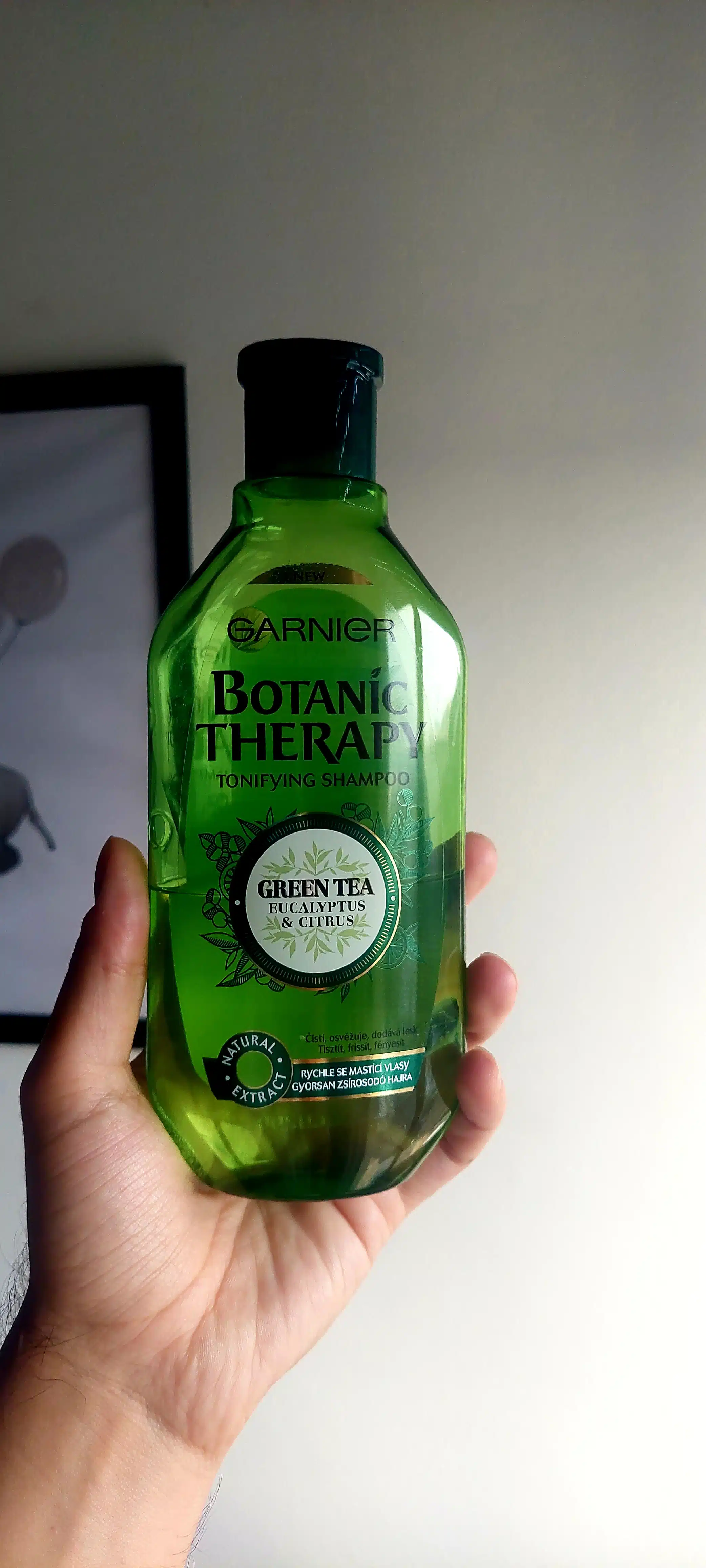 Garnier Botanic Therapy Green Tea