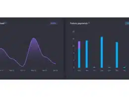 Dashboard Snowball Analytics