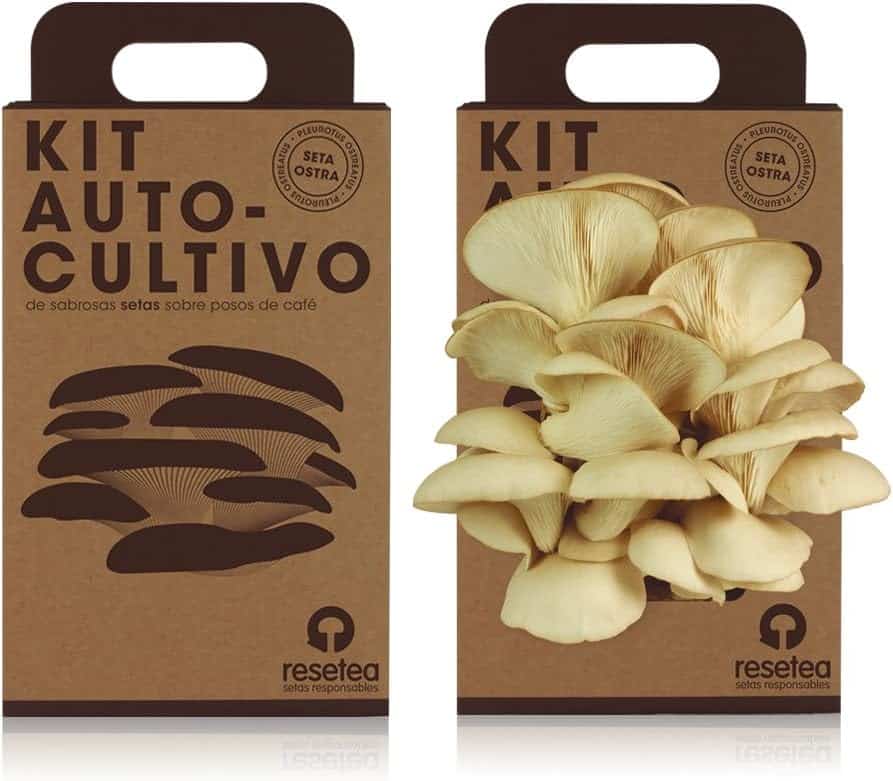 Resetea | Kit auto-cultivo | Cogumelos ostra sobre resÃ­Â­duos de cafÃ© reciclados