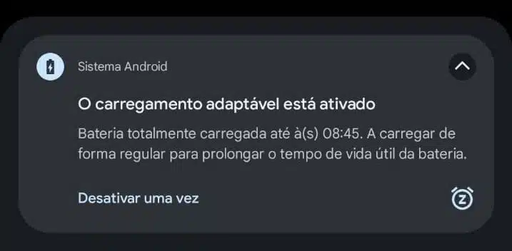 Google Pixel 8 Pro Carregamento Adaptável