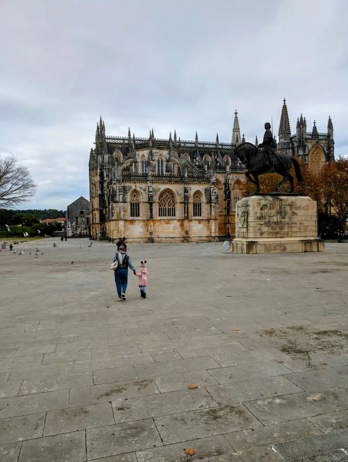 Google Pixel 8 Pro Borracha Mágica - Depois