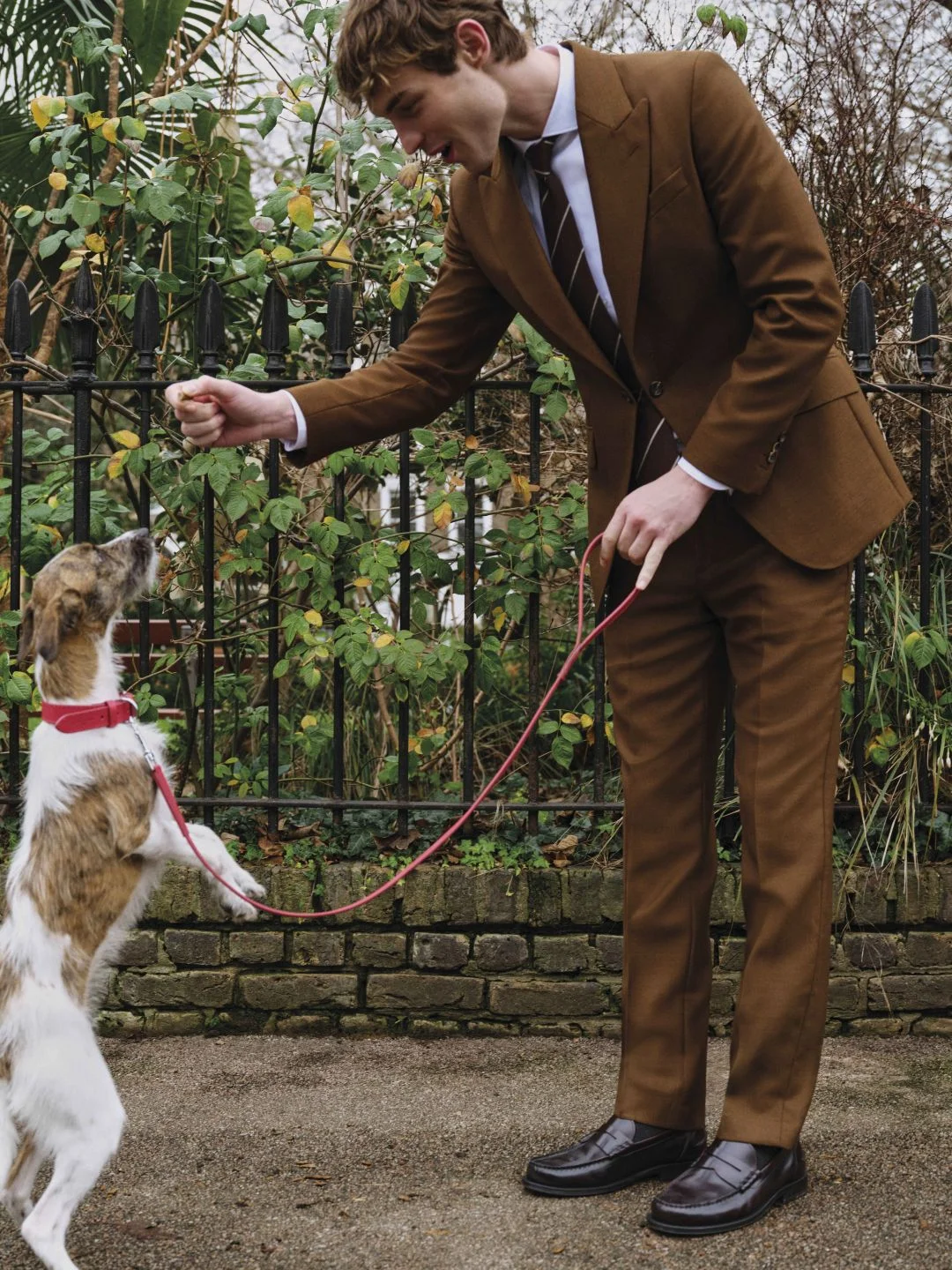 Homem de fato castanho a brincar com cão.