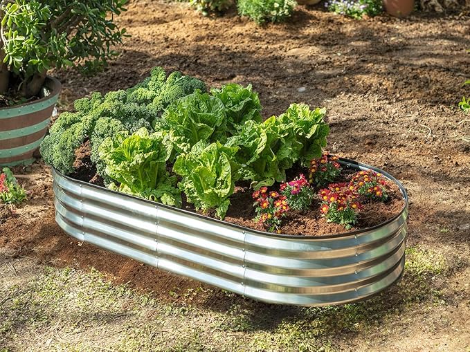 Horta elevada com couves e flores coloridas.