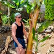Homem a sorrir junto de uma bananeira com bananas verdes.