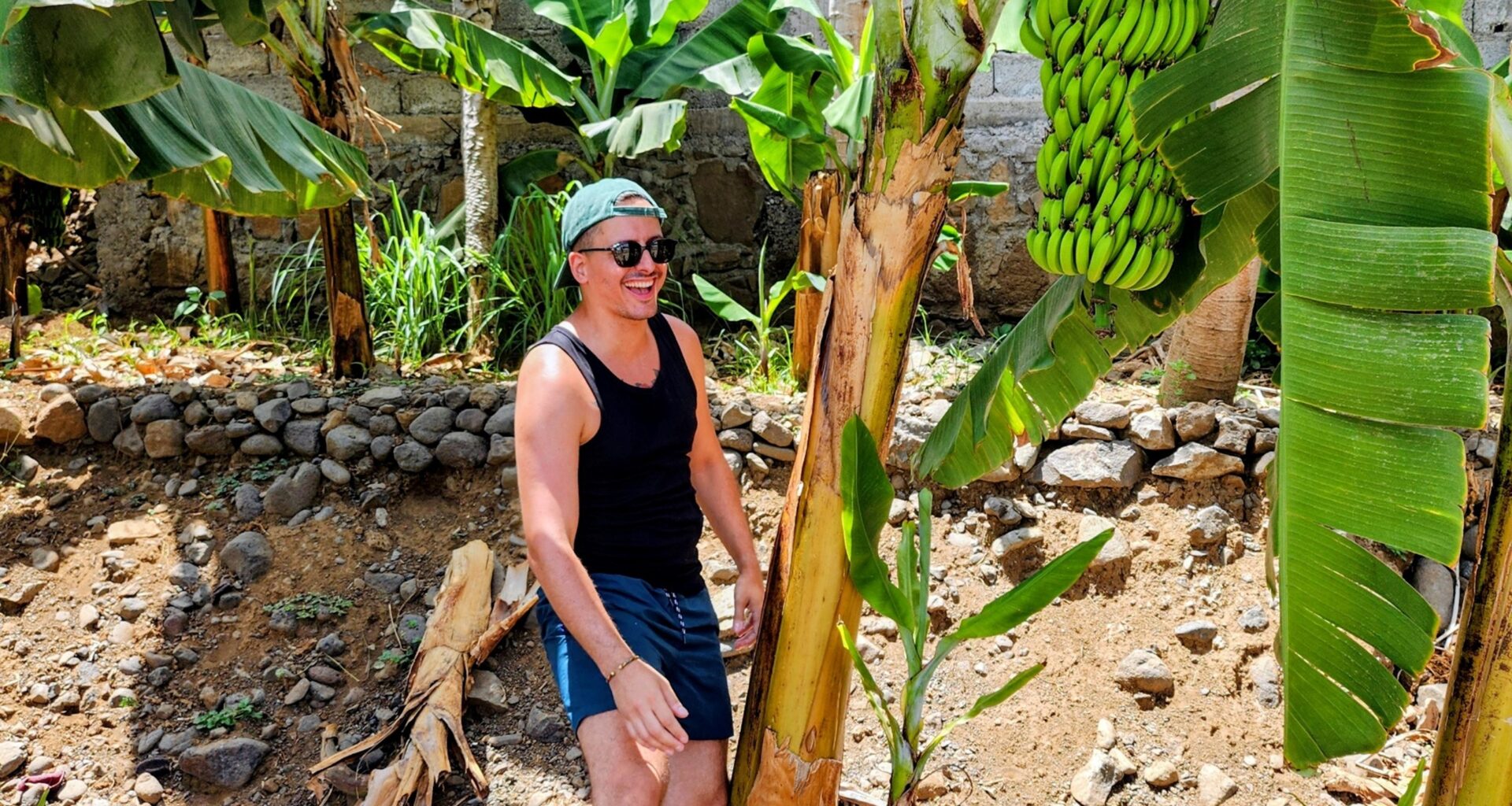 Homem a sorrir junto de uma bananeira com bananas verdes.