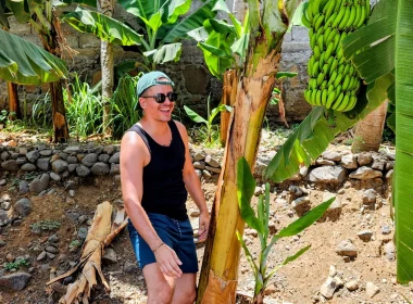 Homem a sorrir junto de uma bananeira com bananas verdes.