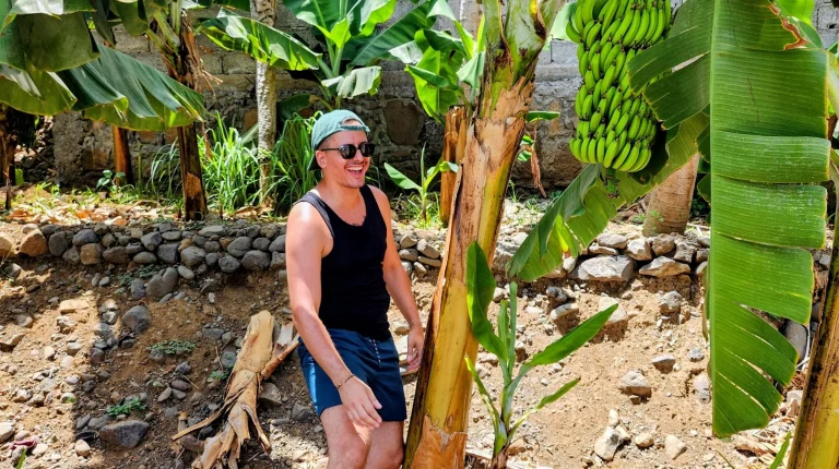 Homem a sorrir junto de uma bananeira com bananas verdes.