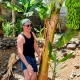 Homem a sorrir junto de uma bananeira com bananas verdes.