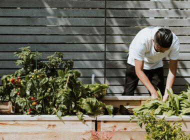 Pessoa a cuidar de plantas em horta urbana.