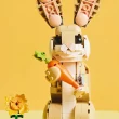 LEGO - Creator - Adorável coelhinho 3 em 1 31162