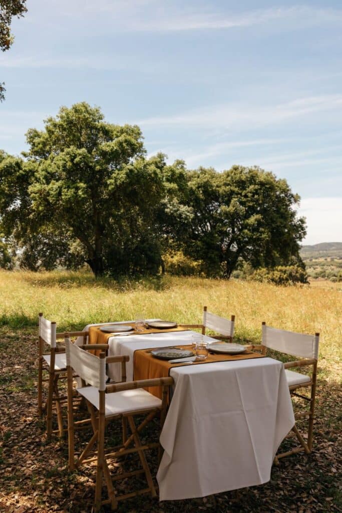 Mesa ao ar livre num campo verdejante