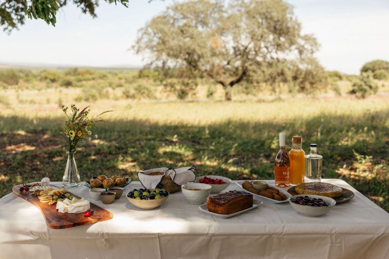 Mesa de piquenique no campo com comidas e bebidas.