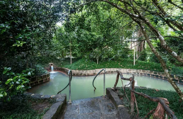 Parque Terra Nostra - Furnas. Foto em Trypadvisor