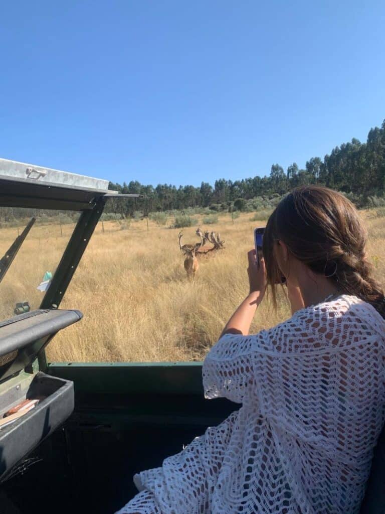 Mulher fotografa veados durante safari em Portugal.