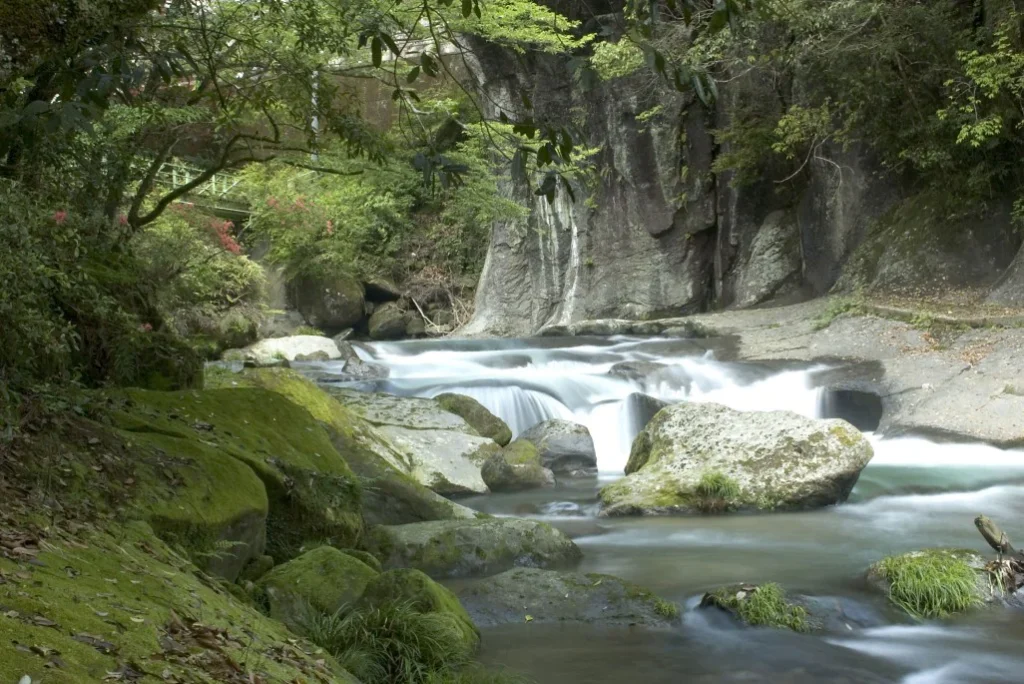 Cascata em floresta verdejante com rochas e vegetação.