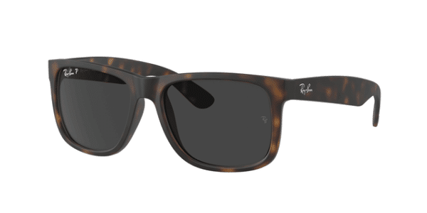 ray ban, rb4165, tortoisegrey polarized