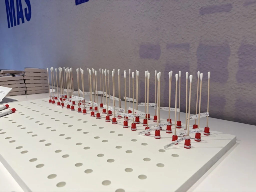 Cotonetes em expositor branco com rótulos de nomes.