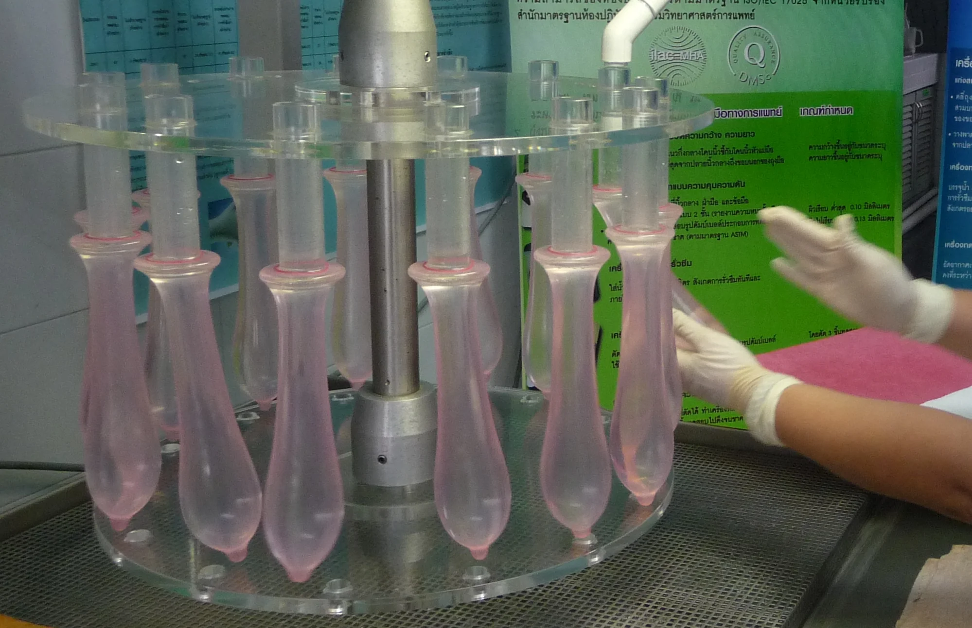 Máquina de laboratório a testar vários preservativos cor-de-rosa cheios de água para comprovar a resistência do preservativo ultrafino.